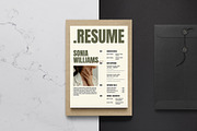 Professional Resume Kit Template, a Resume Template by DesignCrest (Thumbnail 3 of 8)