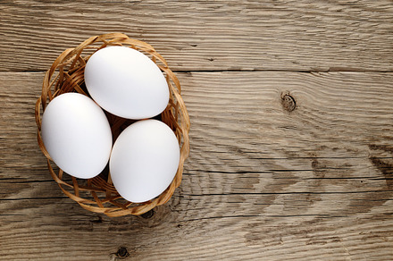 Brown Egg Among White Eggs preview 6