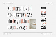 Instyles Collective - Modern Font, a Serif Font by TropicalSunlightCo. (Thumbnail 11 of 13)