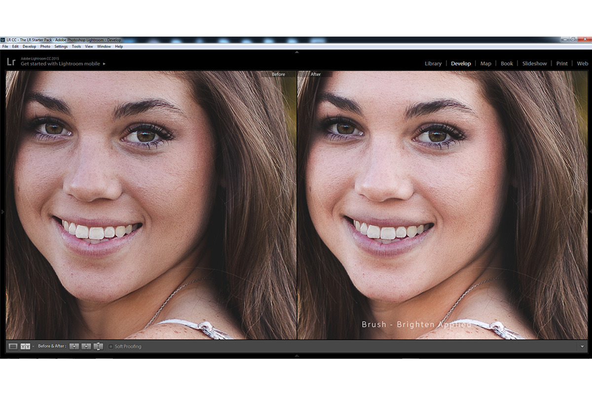 Essential Lightroom Brush Presets preview 3