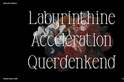 Anyelir Display - Condensed Serif, a Serif Font by Magnolitype (Thumbnail 9 of 21)