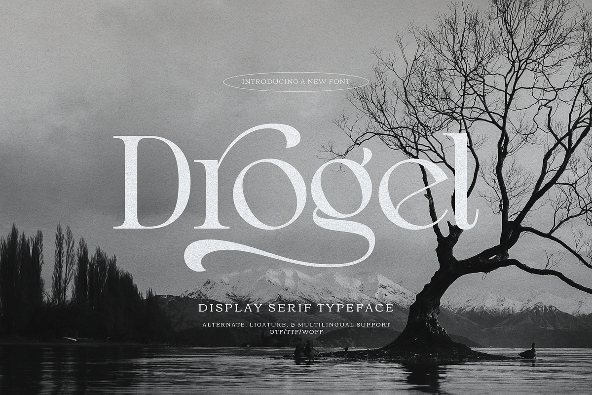 Drogel | Display Serif Font, a Serif Font by gracetype_studio (Photo 1 of 12)