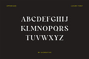 Xander Swordfish Ligature Serif Font, a Serif Font by UICreative (Thumbnail 6 of 13)