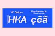 Alvara Sans High Contrast Family, a Sans Serif Font by Lettertype Studio (Thumbnail 3 of 15)