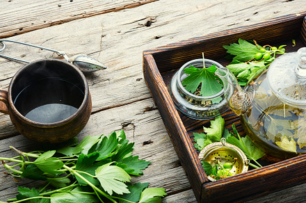 Healing tea with currant leaves, a Food & Drink Photo by MLunov MLunov