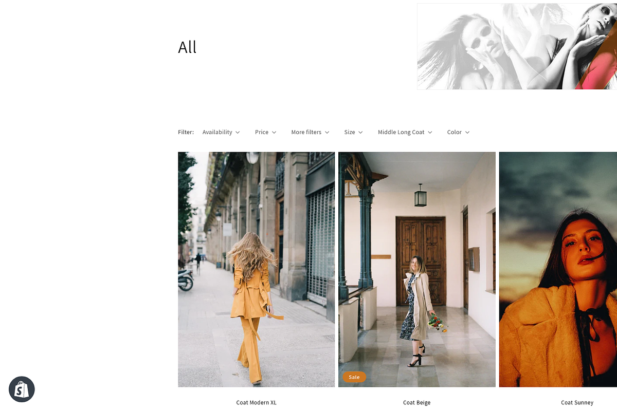 ThePiC -Shopify Fashion Theme, a Shopify Template by inSTUDIO43 (Photo 14 of 15)