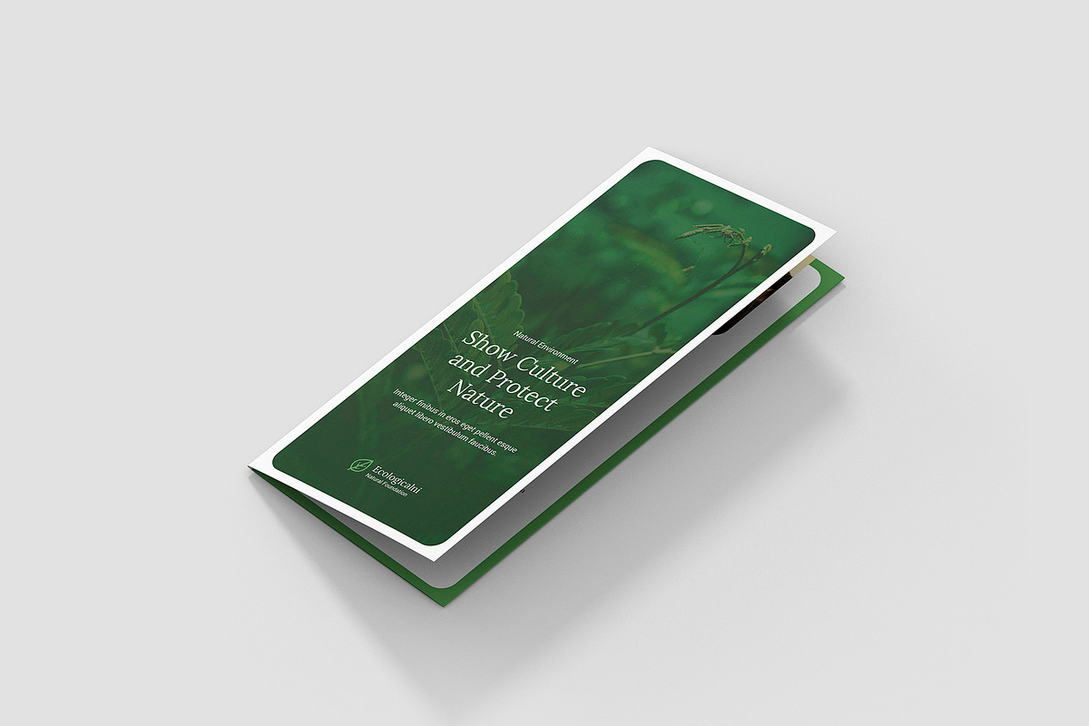 Ecology Brochure Tri-Fold Template, a Brochure Template by artbart (Photo 5 of 9)