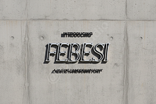 Febesi Typeface: Modern Luxury Serif