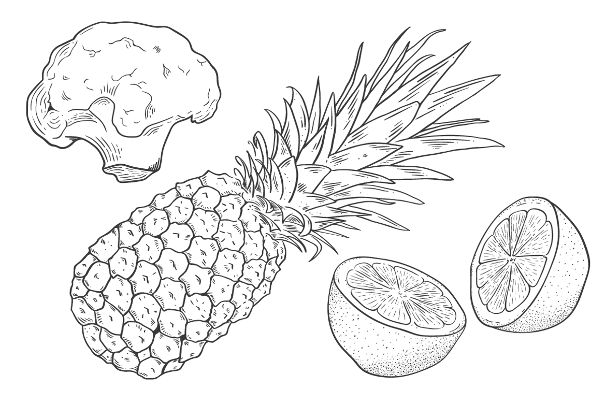 Vintage Vegetables & Fruits Kit, a Food Illustration by kulturrrno (Photo 2 of 5)