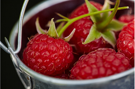 Fresh ripe raspberries in a metal, a Food & Drink Photo by Rohan Photography