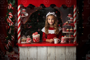 Christmas Studio Digital Backdrop