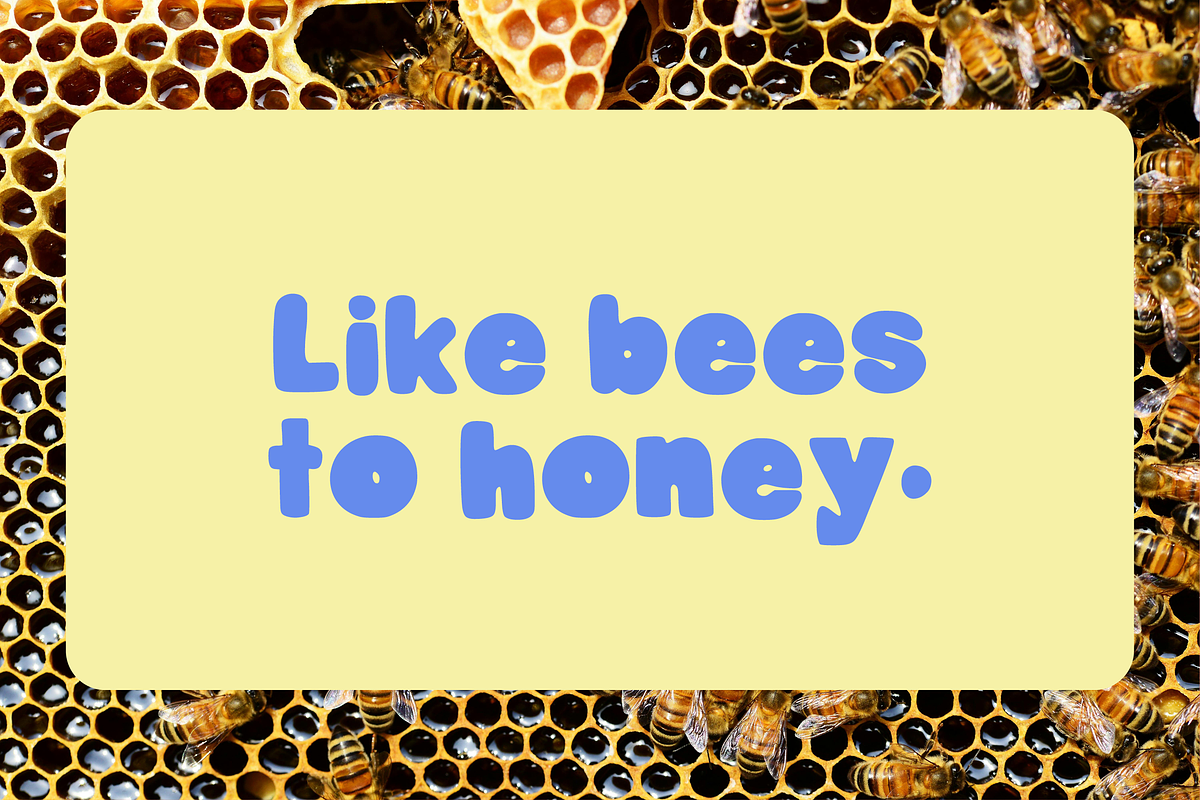 Honey Buns | Bold Display Font, a Handwritten Font by Third Ginger Studio (Photo 5 of 5)