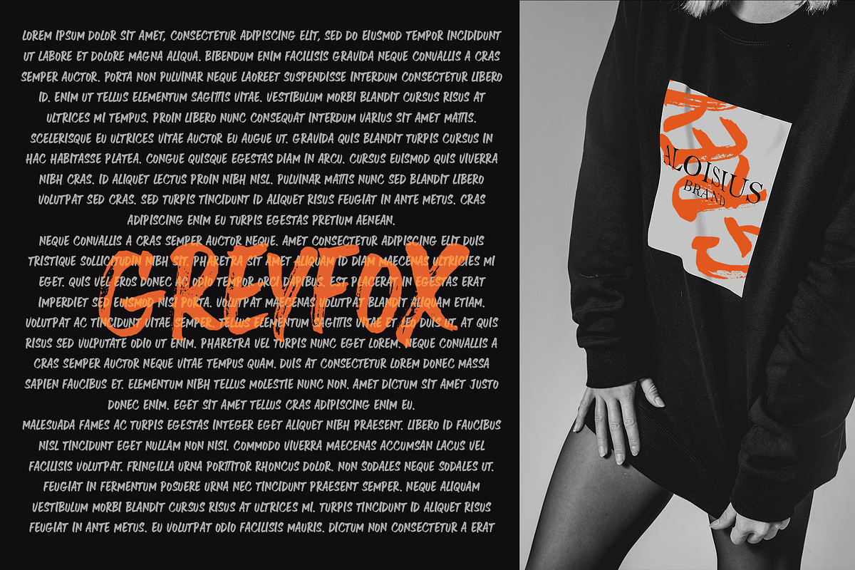 Greyfox Duo dry Brush font preview 4