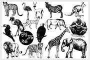 Animals, an Animal Illustration by Ecaterina Sciuchina (Thumbnail 1 of 5)