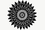 Mandala Decorative Floral Elements, an Illustration by Amazin_art (Thumbnail 14 of 21)