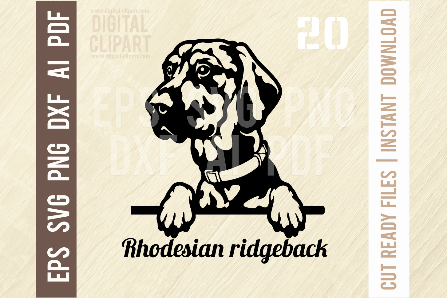 Rhodesian ridgeback SVG Peeking Dog, an Illustration by Digital-Clipart