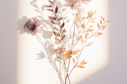 Minimalist Beige Wall with Mauve Branches, a Wallpaper Photo by Iconogenic