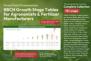 BBCH Growth Stages — 75+ Crops Set, a Presentation Template by Ilia Design (Thumbnail 1 of 5)
