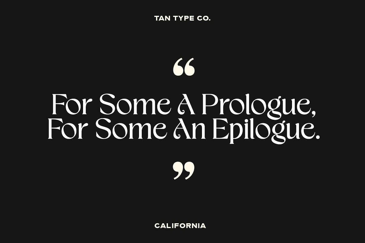TAN - CALIFORNIA, a Serif Font by TanType (Photo 3 of 16)