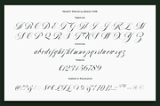 Francy Tiguan | Classy Script Font, a Script Font by Jolicia Type (Thumbnail 10 of 12)
