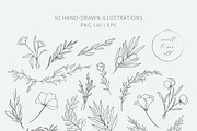 Botanical logos & illustrations, a Branding & Logo Template by Crocus Paperi (Thumbnail 2 of 4)