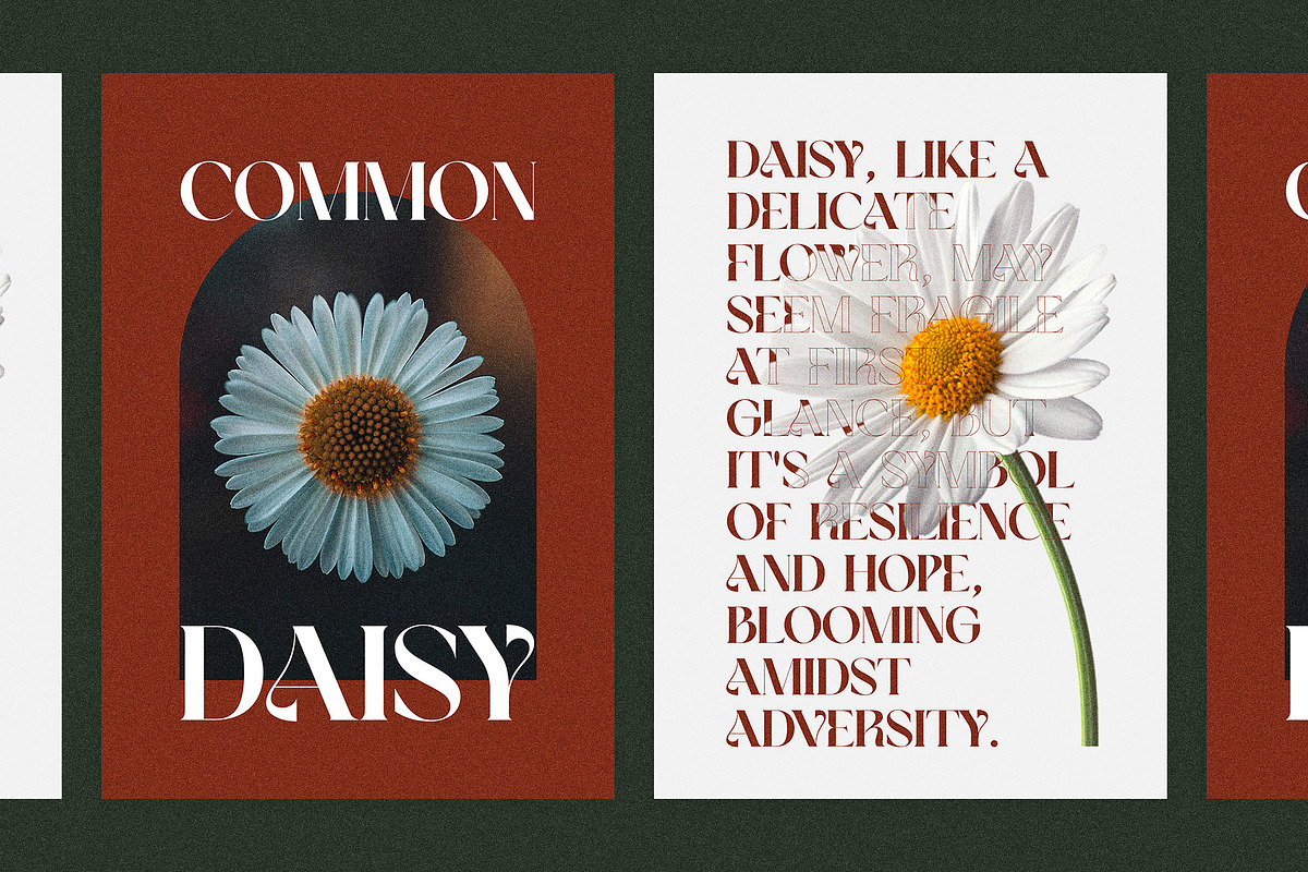 Walker Elegant Serif Font, a Serif Font by Graphicxell (Photo 7 of 10)