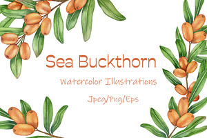 Sea Buckthorn Watercolor Clipart, a Food Illustration by Milla_Zelenyuk_art