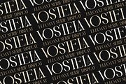 Vostela - Elegant Serif Display, a Serif Font by MaikoHatta (Thumbnail 4 of 6)