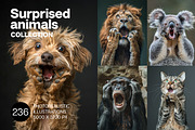236 surprised animals, an Animal Photo by Handmadefont (Thumbnail 1 of 241)