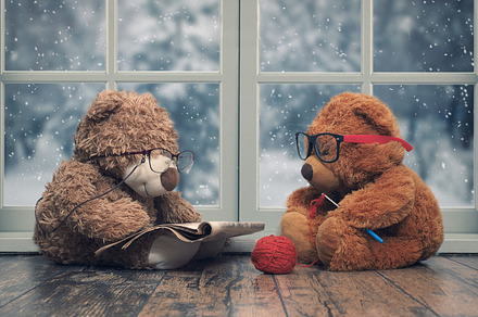 Two toy bears reading and crochet