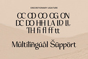 Helliona, a Serif Font by studiobasic (Thumbnail 4 of 8)