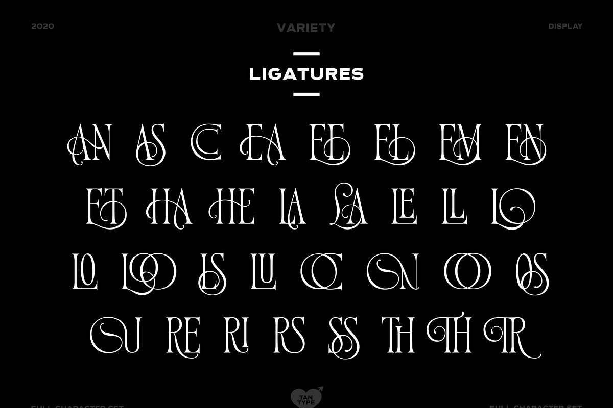 TAN - Variety, a Serif Font by TanType (Photo 5 of 26)