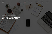 CMA – Consulting & Marketing Agency, a WordPress Template by FlyTemplates.com (Thumbnail 2 of 7)