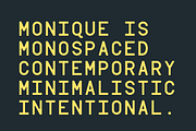 Monique Contemporary Monotype, a Font by Hederae Type Foundry (Thumbnail 3 of 7)