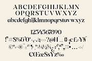 Quilge Modern Serif, a Serif Font by Letterena Studios (Thumbnail 13 of 15)