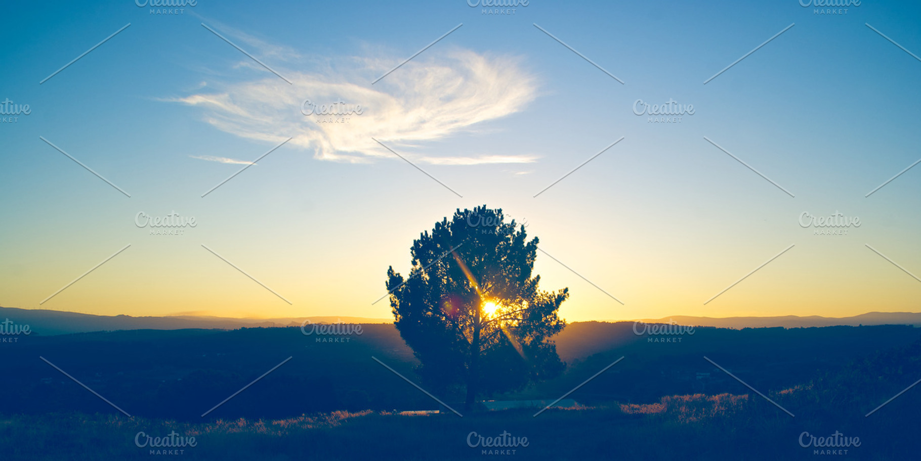 Sun Tree