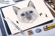 Set of 6 vector watercolor animals, an Animal Illustration by kizi (Thumbnail 2 of 5)
