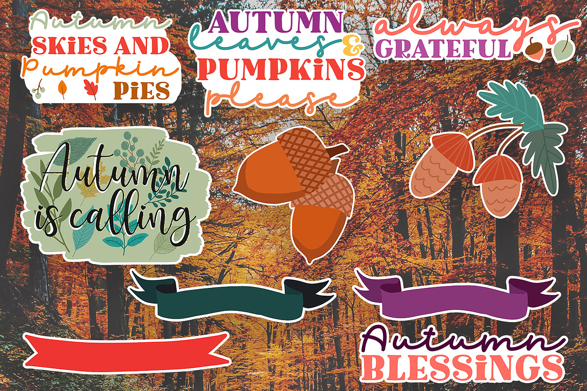November Stickers for Cricut | Fall, an Illustration by illuztrate (Photo 8 of 10)