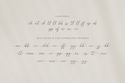 Miltona Elegant Script Font, a Script Font by Seagulls Creative (Thumbnail 10 of 10)