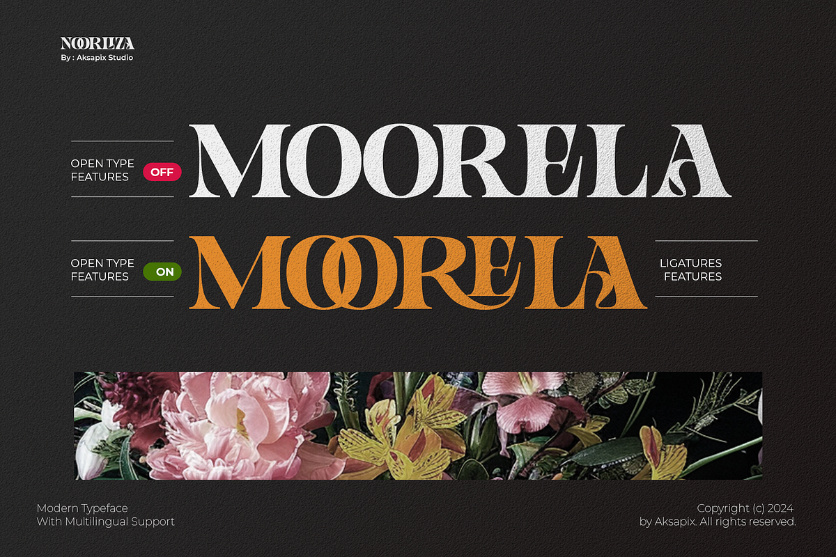 Noorliza - Modern Serif Font, a Serif Font by Aksapix Studio (Photo 7 of 12)