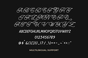 Daily Magnolines - Monoline Typeface, a Handwritten Font by Letterhend Studio (Thumbnail 7 of 9)