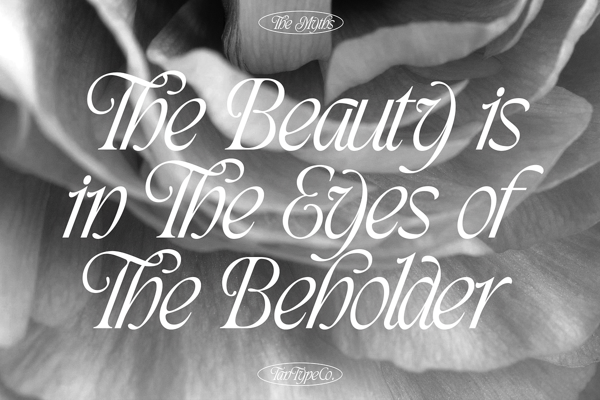 TAN - THE MYTHS, a Font by TanType (Photo 6 of 16)