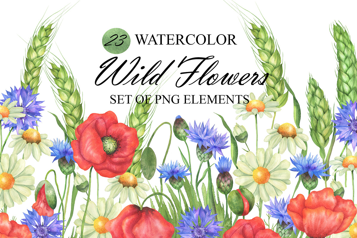 Watercolor Wildflowers clipart, an Illustration by OlDm_Shop (Photo 1 of 7)