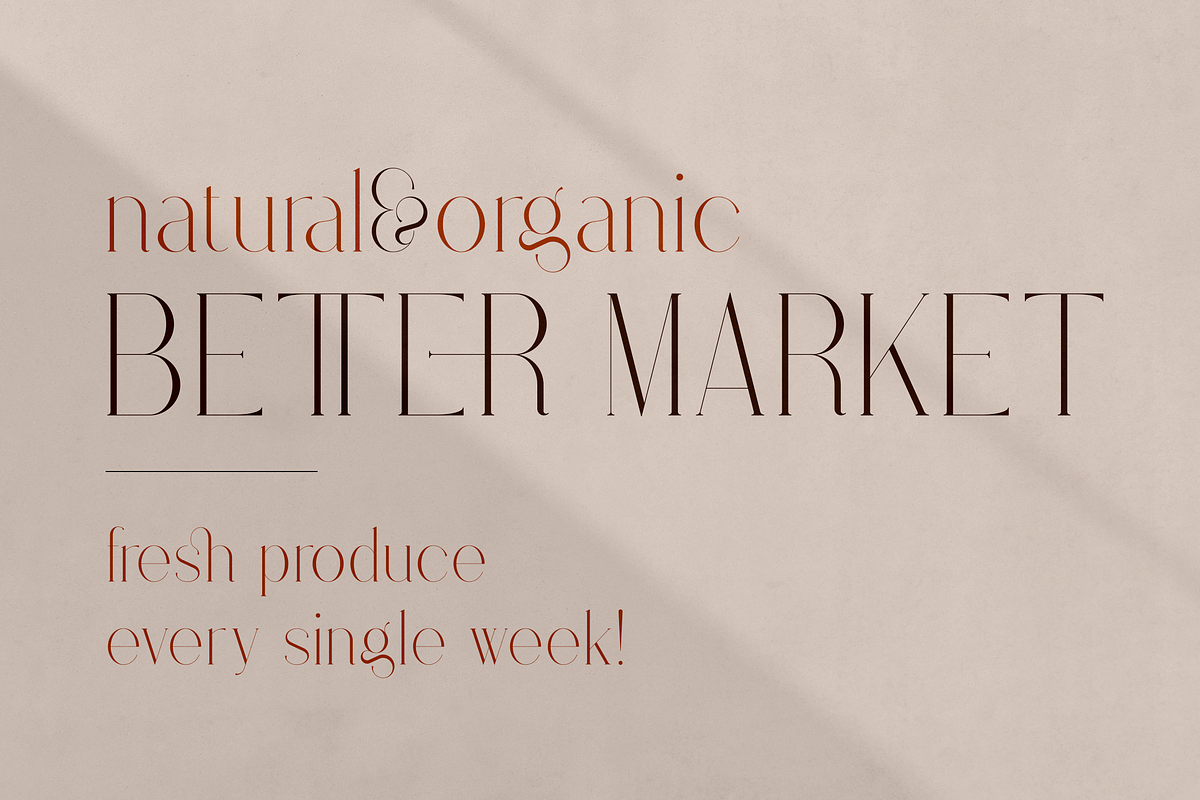 Stolen Love - Elegant serif typeface, a Serif Font by VP Fonts (Photo 12 of 34)