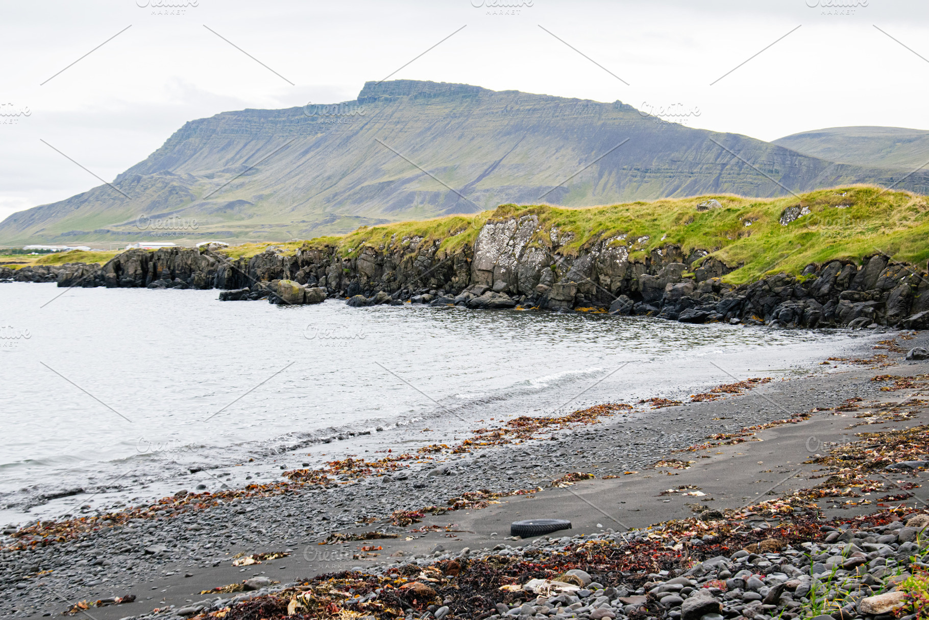Scenic rocky coastline with greenery and mountains in Iceland's natural landsca, a Nature Photo by AS photostudio