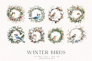 Winter Birds, an Animal Illustration by PeDe Designs (Thumbnail 3 of 6)