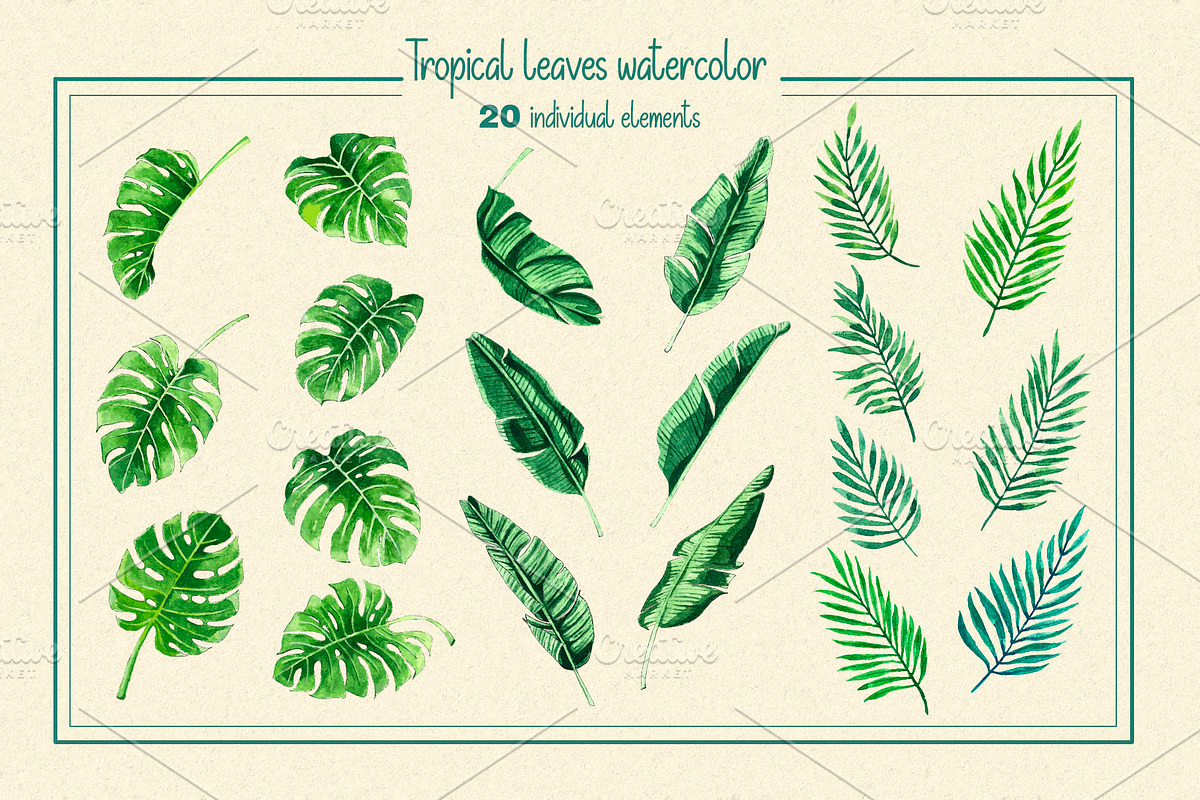 Tropical Botanical Watercolor, an Illustration by LazyArtyCat (Photo 3 of 5)