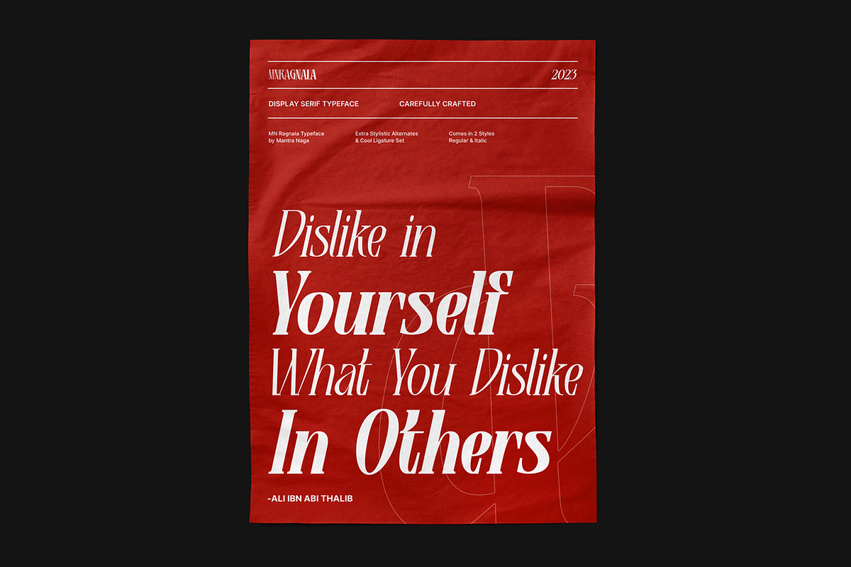 MNRagnala, a Serif Font by Mantra Naga (Photo 2 of 16)
