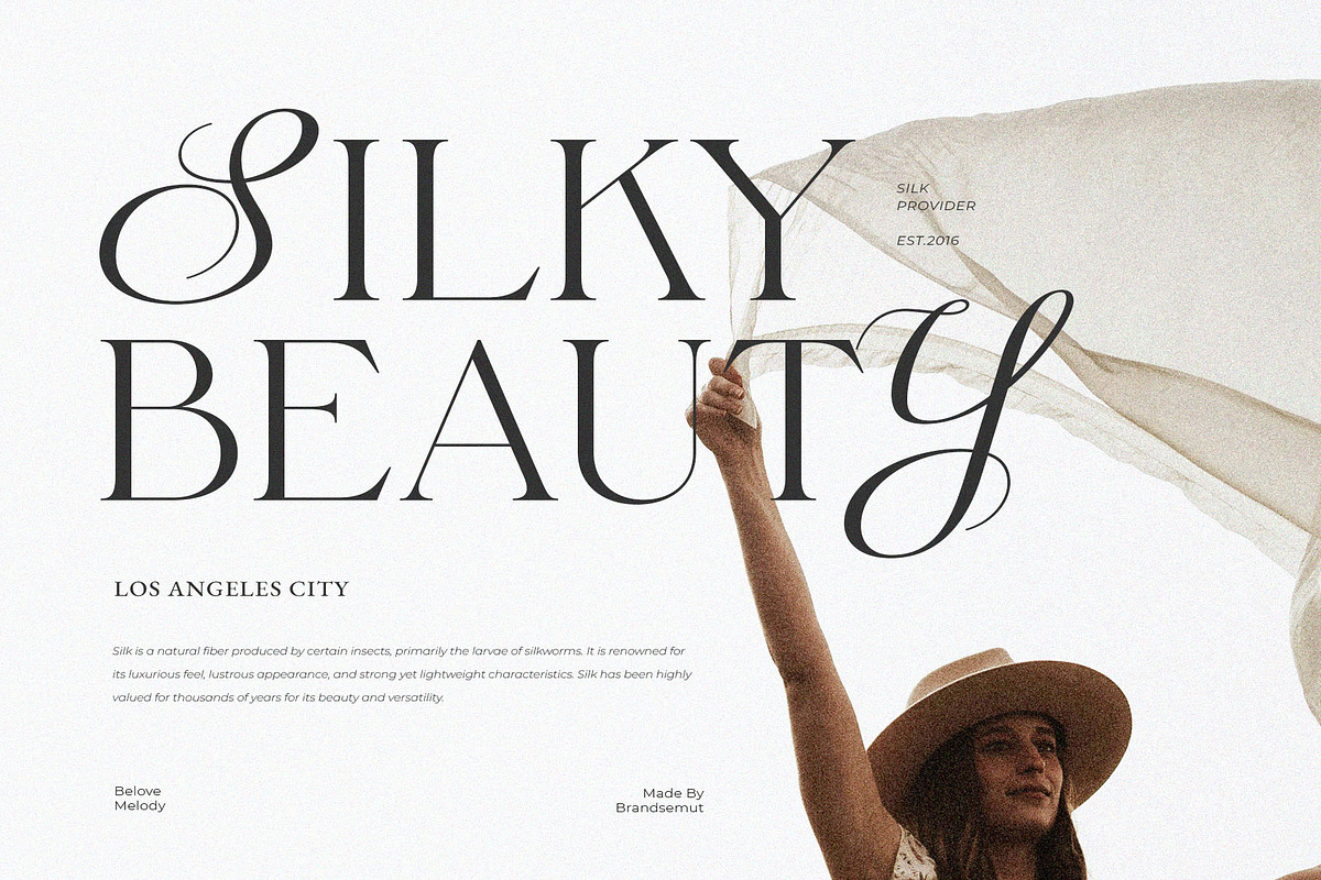 Belove Melody Display Stylish Serif, a Serif Font by BrandSemut (Photo 4 of 10)