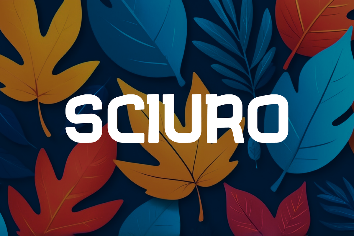 Sciuro Playfull Font, a Sans Serif Font by IWMType (Photo 1 of 7)